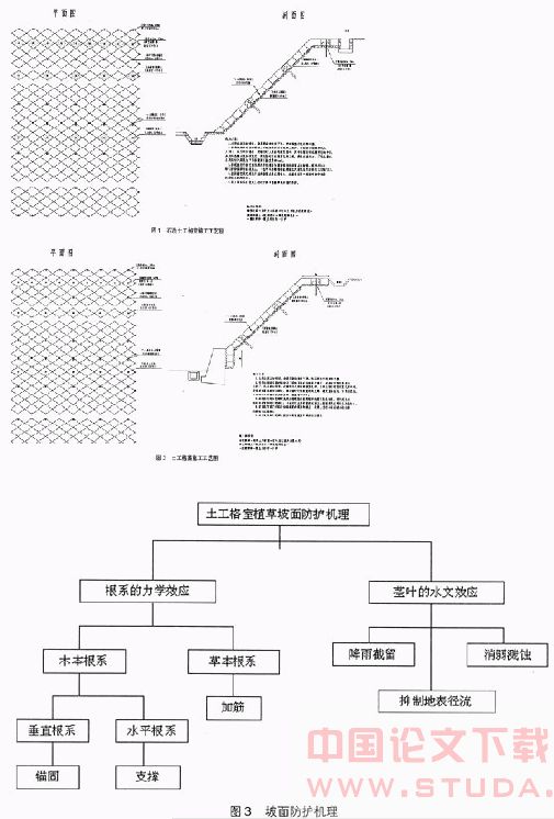 路堑石质边坡土工格室植草防护