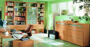 精心布置以我为准新格调家庭办公室