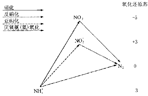欧洲城市污水处理技术新概念--可持续生物除磷脱氮工艺(上)