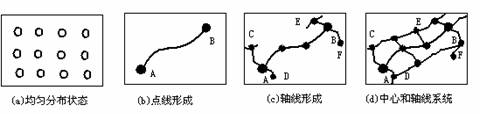 苏南城镇体系空间结构的研究