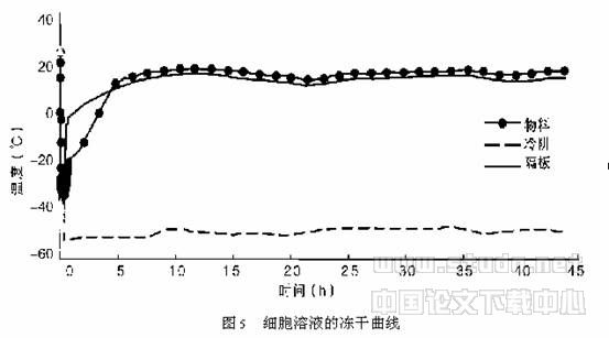 人体骨髓基质干细胞冷冻干燥的探索性实验