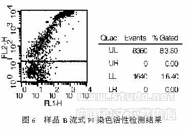 人体骨髓基质干细胞冷冻干燥的探索性实验