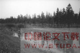 城市边缘区农田景观的衍变-对城市边缘区农田、水面衍变的解读