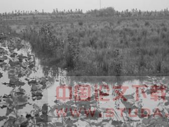 城市边缘区农田景观的衍变-对城市边缘区农田、水面衍变的解读