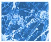 浅析中央空调机组过滤器选择